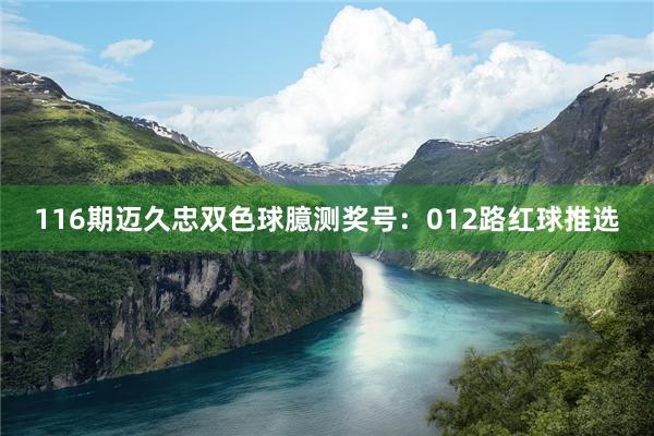 116期迈久忠双色球臆测奖号：012路红球推选