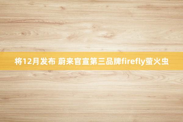 将12月发布 蔚来官宣第三品牌firefly萤火虫