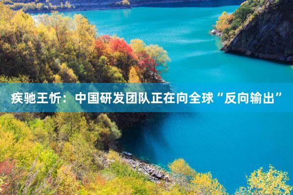 疾驰王忻：中国研发团队正在向全球“反向输出”