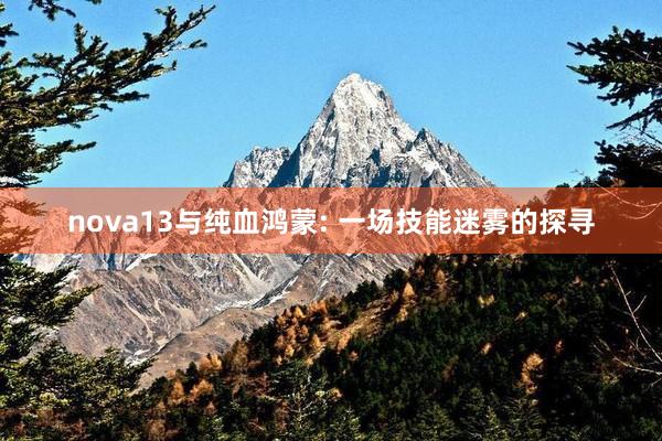 nova13与纯血鸿蒙: 一场技能迷雾的探寻