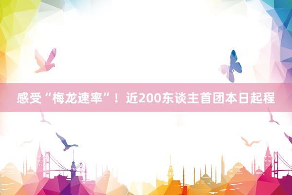 感受“梅龙速率”！近200东谈主首团本日起程