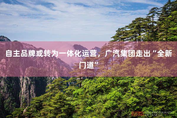 自主品牌或转为一体化运营，广汽集团走出“全新门道”